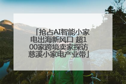 抢占AI智能小家电出海新风口 超100家跨境卖家探访慈溪小家电产业带