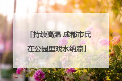 持续高温 成都市民在公园里戏水纳凉