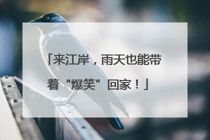 来江岸，雨天也能带着“爆笑”回家！