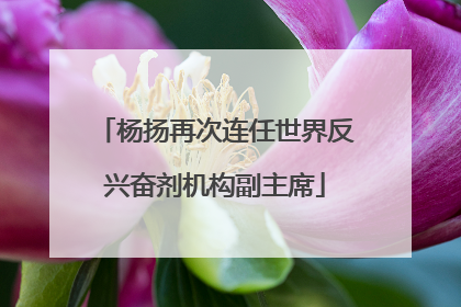 杨扬再次连任世界反兴奋剂机构副主席