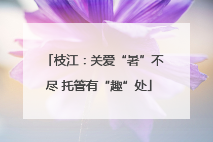 枝江：关爱“暑”不尽 托管有“趣”处