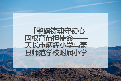 擎旗铸魂守初心 固根育苗担使命——天长市炳辉小学与萧县师范学校附属小学结对共建活动纪实