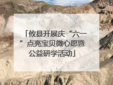 攸县开展庆“六一”点亮宝贝微心愿暨公益研学活动