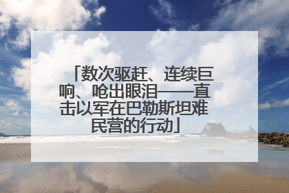 数次驱赶、连续巨响、呛出眼泪——直击以军在巴勒斯坦难民营的行动