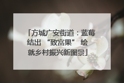 方城广安街道：蓝莓结出 “致富果” 绘就乡村振兴新图景