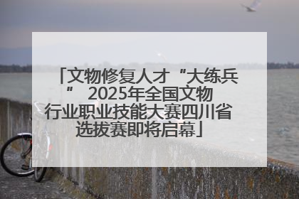 文物修复人才“大练兵” 2025年全国文物行业职业技能大赛四川省选拔赛即将启幕