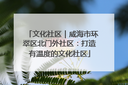 文化社区｜威海市环翠区北门外社区：打造有温度的文化社区