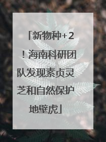 新物种+2！海南科研团队发现素贞灵芝和自然保护地壁虎