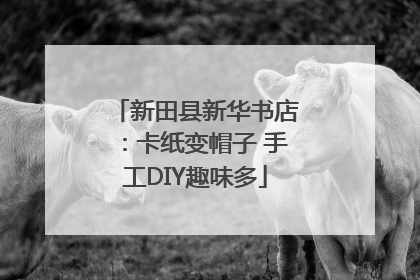 新田县新华书店：卡纸变帽子 手工DIY趣味多