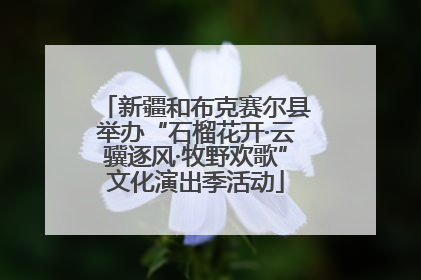 新疆和布克赛尔县举办“石榴花开·云骥逐风·牧野欢歌”文化演出季活动