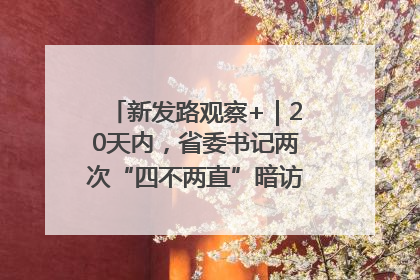 新发路观察+｜20天内，省委书记两次“四不两直”暗访，有何深意？