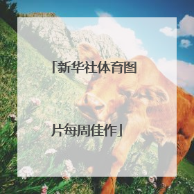 新华社体育图片每周佳作