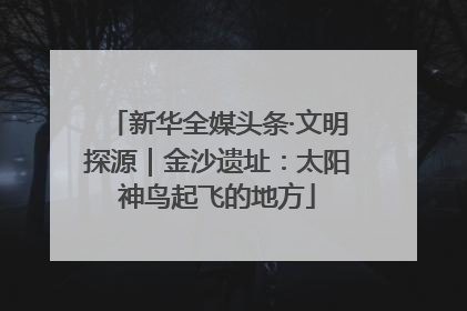 新华全媒头条·文明探源｜金沙遗址：太阳神鸟起飞的地方