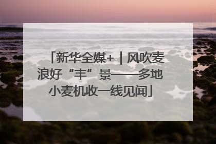 新华全媒+｜风吹麦浪好“丰”景——多地小麦机收一线见闻