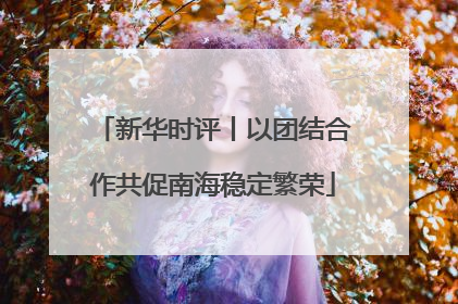 新华时评丨以团结合作共促南海稳定繁荣
