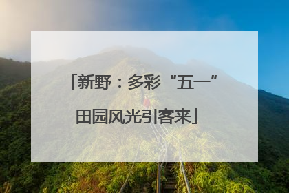 新野：多彩“五一” 田园风光引客来
