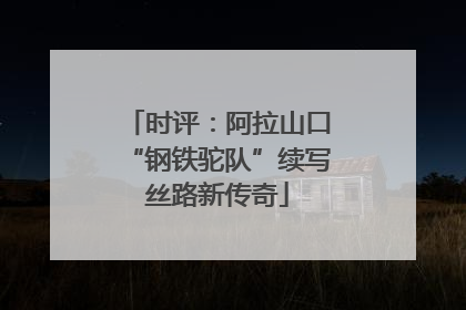 时评：阿拉山口“钢铁驼队”续写丝路新传奇