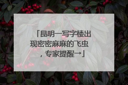 昆明一写字楼出现密密麻麻的飞虫，专家提醒→