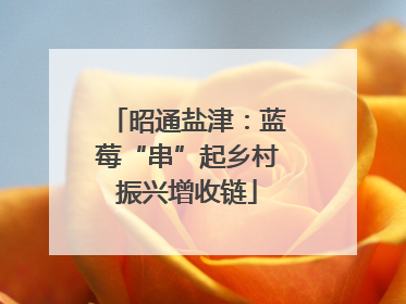 昭通盐津：蓝莓“串”起乡村振兴增收链
