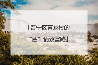 晋宁区青龙村的“菌”情致富路