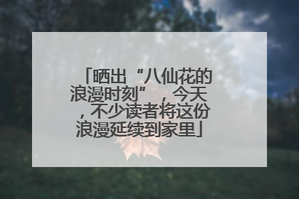 晒出“八仙花的浪漫时刻”，今天，不少读者将这份浪漫延续到家里