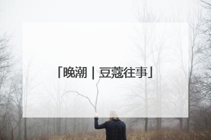 晚潮｜豆蔻往事