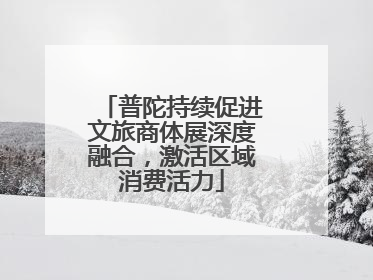 普陀持续促进文旅商体展深度融合，激活区域消费活力