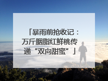 暴雨前抢收记：万斤胭脂红鲜桃传递“双向甜蜜”