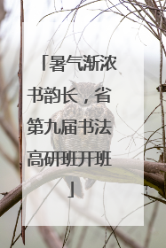 暑气渐浓书韵长，省第九届书法高研班开班