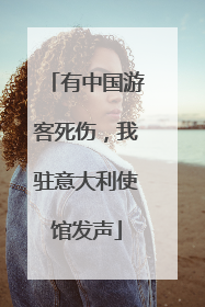 有中国游客死伤，我驻意大利使馆发声