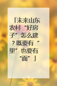 未来山东农村“好房子”怎么建？既要有“里”也要有“面”