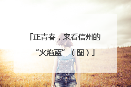 正青春，来看信州的“火焰蓝”（图）