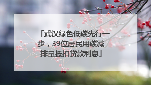武汉绿色低碳先行一步，39位居民用碳减排量抵扣贷款利息