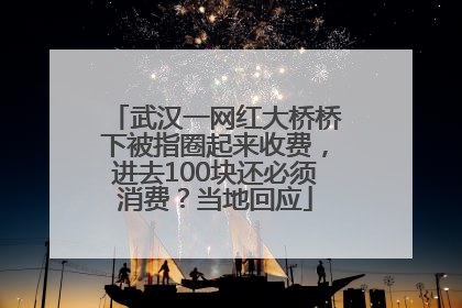 武汉一网红大桥桥下被指圈起来收费，进去100块还必须消费？当地回应