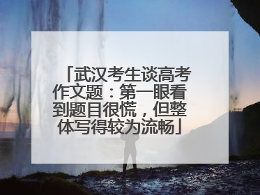 武汉考生谈高考作文题：第一眼看到题目很慌，但整体写得较为流畅