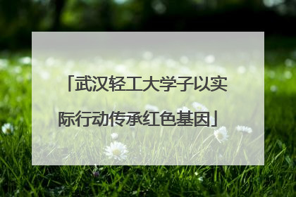 武汉轻工大学子以实际行动传承红色基因