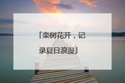 栾树花开，记录夏日浪漫