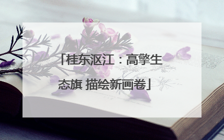 桂东沤江：高擎生态旗 描绘新画卷