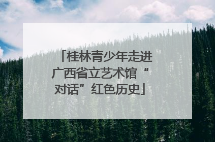桂林青少年走进广西省立艺术馆“对话”红色历史