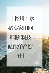 桦川：水稻专家田间把脉 科技赋能单产提升
