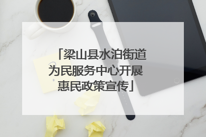 梁山县水泊街道为民服务中心开展惠民政策宣传