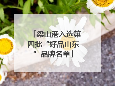 梁山港入选第四批“好品山东”品牌名单