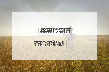 梁惠玲到齐齐哈尔调研