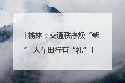 榆林：交通秩序焕“新” 人车出行有“礼”