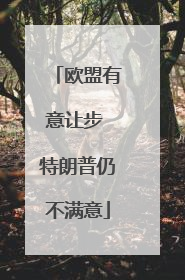 欧盟有意让步 特朗普仍不满意