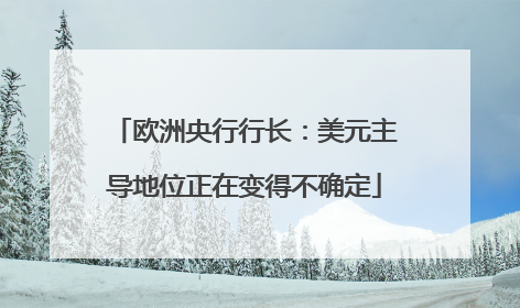 欧洲央行行长：美元主导地位正在变得不确定
