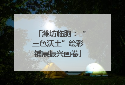 潍坊临朐：“三色沃土”绘彩铺展振兴画卷