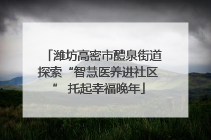 潍坊高密市醴泉街道探索“智慧医养进社区” 托起幸福晚年
