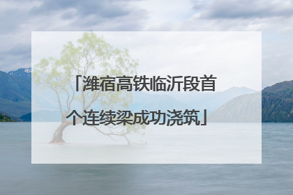 潍宿高铁临沂段首个连续梁成功浇筑