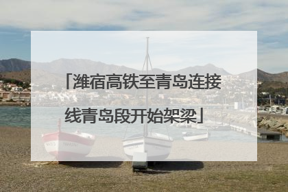 潍宿高铁至青岛连接线青岛段开始架梁